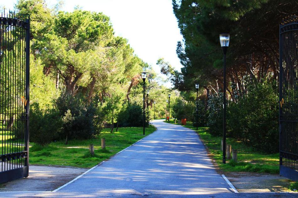 Carducci 83 Panzió Pescara Kültér fotó
